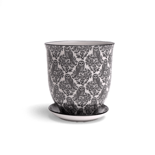 Liberte Porcelain Plant Pot - Black Owls, 3.25 in