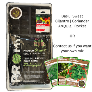 Seed starting kit with seed packets and branding on a white background