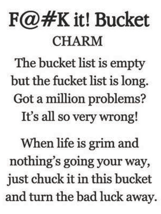 Text with profanity and humorous message about bucket lists on a white background
