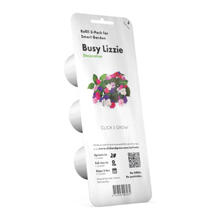 Click and Grow Refill 3-Pack - Busy Lizzie