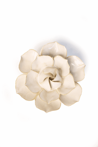 Ivory Daffodil Ceramic Wall Flower