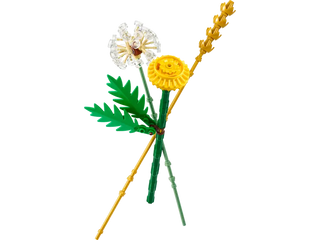 LEGO Botanicals - Field Flowers