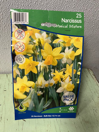 PRE-ORDER Narcissus Botanical Mix 25 Bulbs $25.99