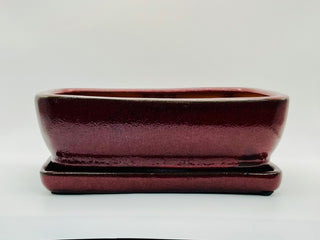 Bonsai Ceramic Pot 5" with Saucer