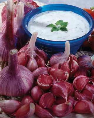 Fall Garlic "Mexican Purple"