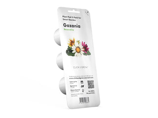 Gazania plant pod 2-pack for smart garden on a white background