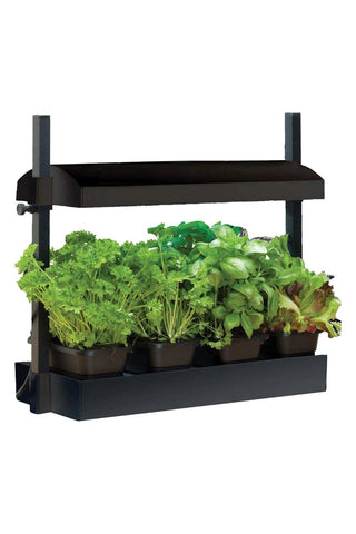 Black two-tiered plant stand with potted green plants on a white background