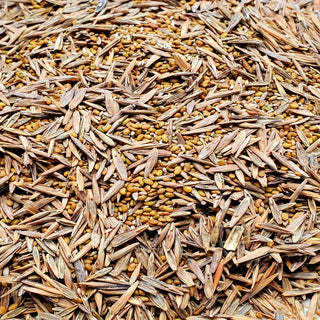 Timothy Hay Seed 1lb (250 square feet)