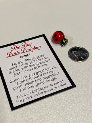 Good Luck Charm - The Tiny Little Ladybug
