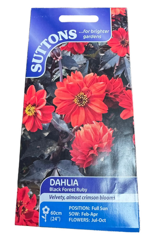 Suttons Dahlia Black Forest Ruby seed packet on a wooden surface