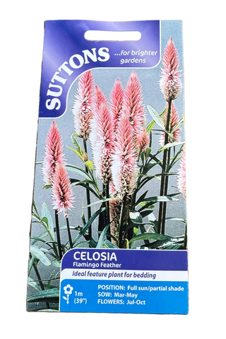 Suttons Celosia seed packet on a wooden surface