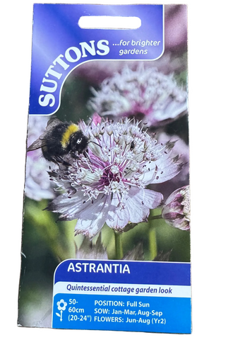 Suttons astrantia seed packet on a wooden surface