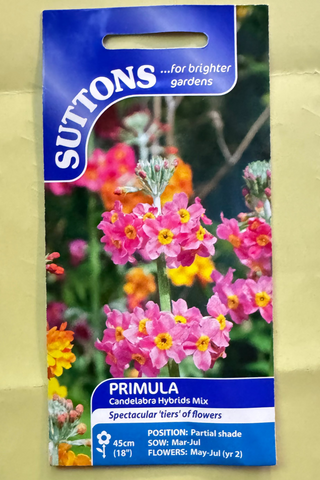 Suttons primula seeds packet on a textured beige background
