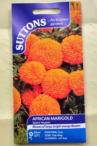 Suttons African Marigold seed packet on a neutral background