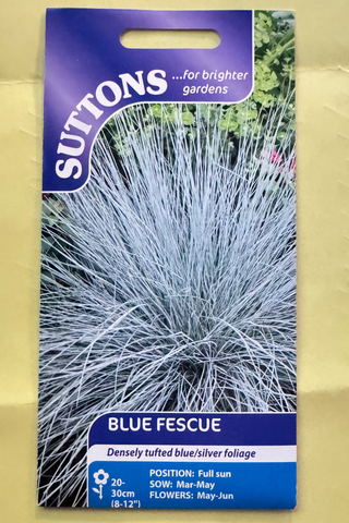 Suttons Blue Fescue seed packet on a beige background