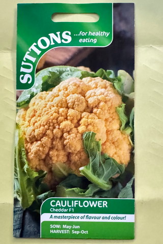 Suttons Seeds - Cauliflower Cheddar F1