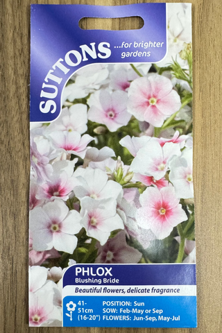 Suttons Seeds - Phlox Blushing Bride