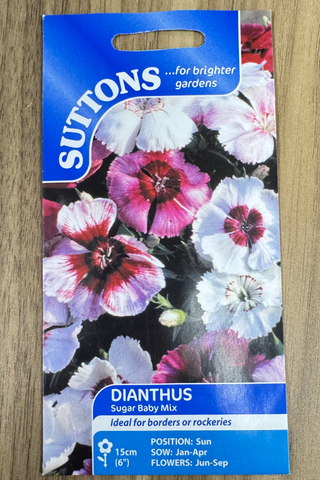 Suttons Dianthus seed packet on a wooden surface