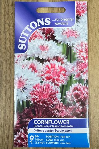 Suttons Seeds - Cornflower Classic Romantic