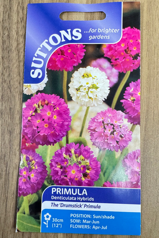 Suttons Seeds - Primula Denticulata Hybrids