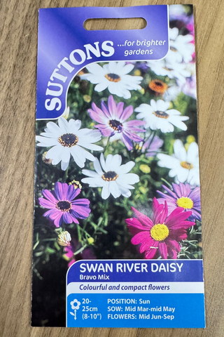 Suttons Seeds - Swan River Daisy