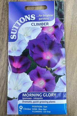 Suttons Seeds - Morning Glory Ipomoea Inkspots