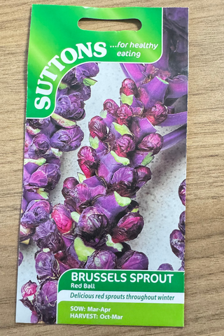 Suttons Seeds - Brussels Sprout Red Ball