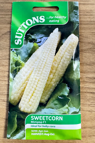 Suttons Seeds - Sweetcorn Minipop F1