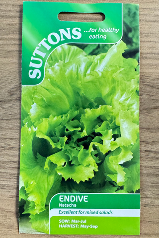 Suttons Seeds - Endive Natacha