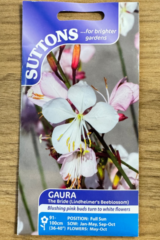 Suttons Seeds - Gaura The Bride