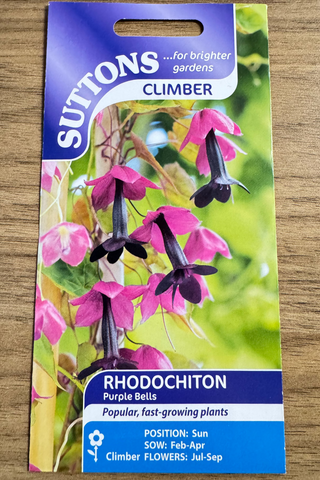 Suttons rhodochiton seed packet with purple flowers on a wooden surface