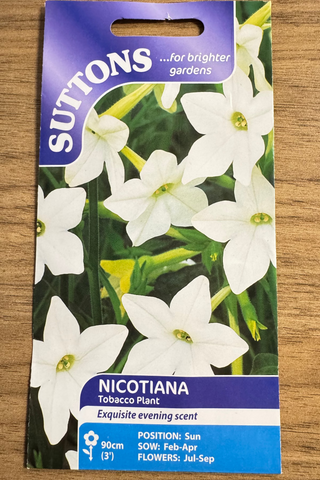 Suttons Seeds - Nicotiana Tobacco Plant