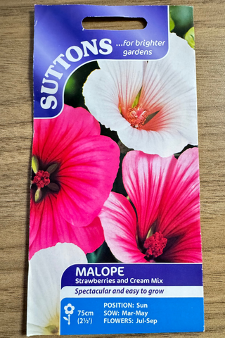 Suttons Malope seed packet with pink and white flowers on a wooden surface