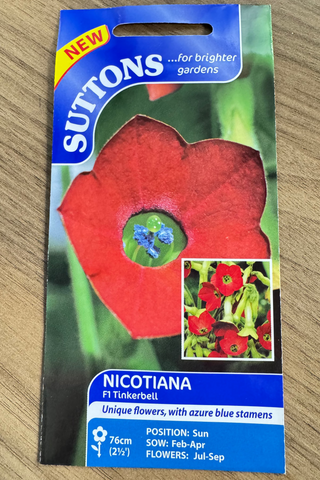 Suttons Seeds - Nicotiana F1 Tinkerbell