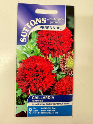 Suttons Seeds - Gaillardia Red Plume