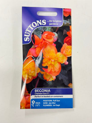 Suttons Seeds - Begonia Chanson Sun F1