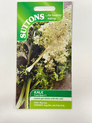 Suttons Seeds - Kale Frost Byte F1