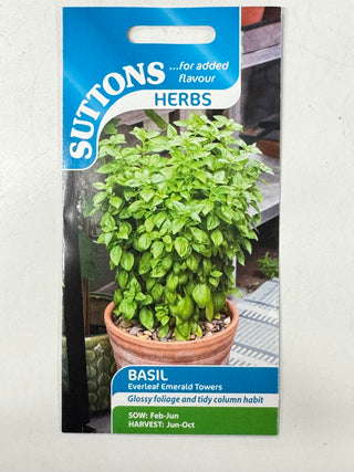 Suttons Seeds - Basil Everleaf Emerald Towers