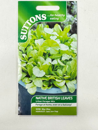 Suttons Seeds - Native British Leaves Urban Forager Mix