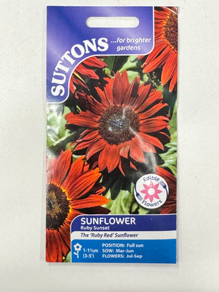Suttons Seeds - Sunflower Ruby Sunset