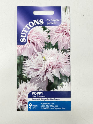Suttons Seeds - Poppy Lilac Pompom