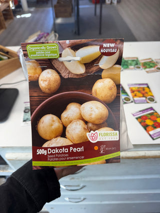 Seed Potatoes | Dakota Pearl 500g