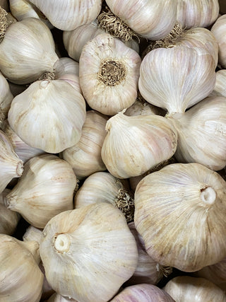LOCAL NL-Grown Fall Garlic "Gerry Penney"