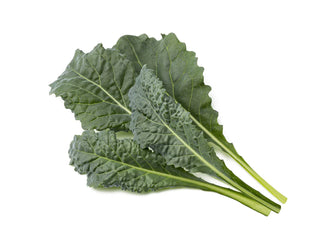 Click and Grow Refill 3-Pack - Italian Kale