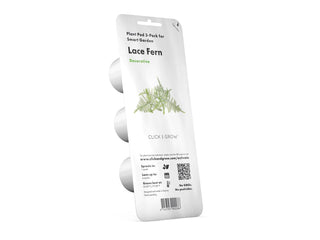 Click and Grow Refill 3-Pack - Lace Fern