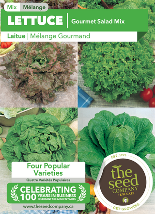 Laitue, mélange gastronomique : Grand Rapids, Prize Head, Romaine et Buttercrunch
