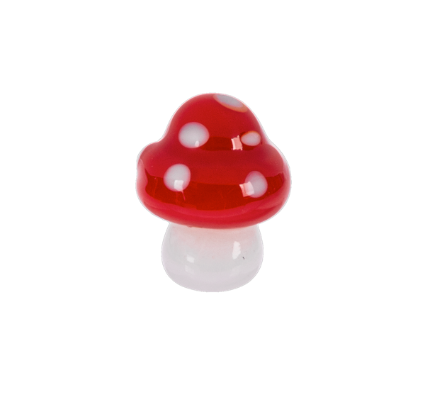 Good Luck Charm Mighty Little Mushroom The Seed Company by E.W. Gaze