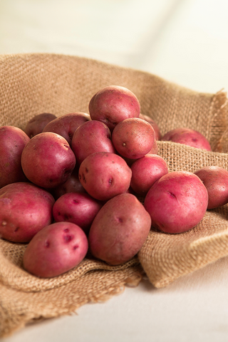 Seed Potatoes | Cristina (Red) | 2kg Bag - PRE-ORDERS