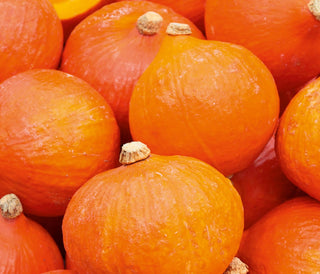 Close-up of pumpkins with 'Branded Garden Products Ltd' text overlay