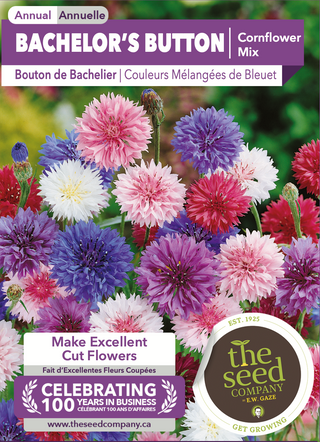 Bachelor's Button | Cornflower Mix